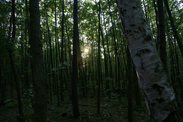 DSC01745