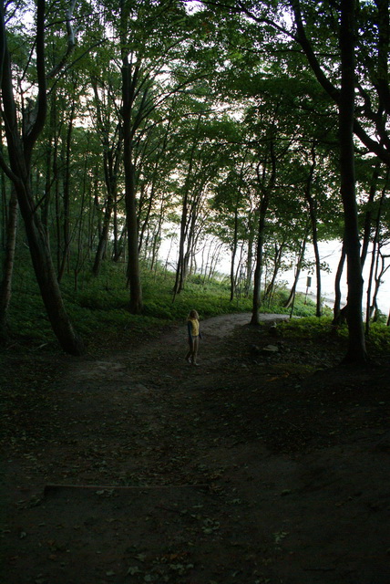 DSC01751