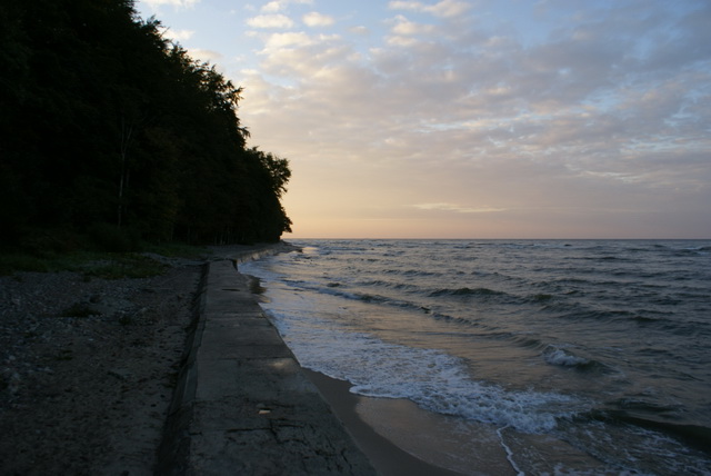 DSC01753