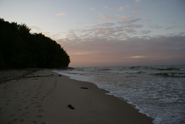 DSC01767
