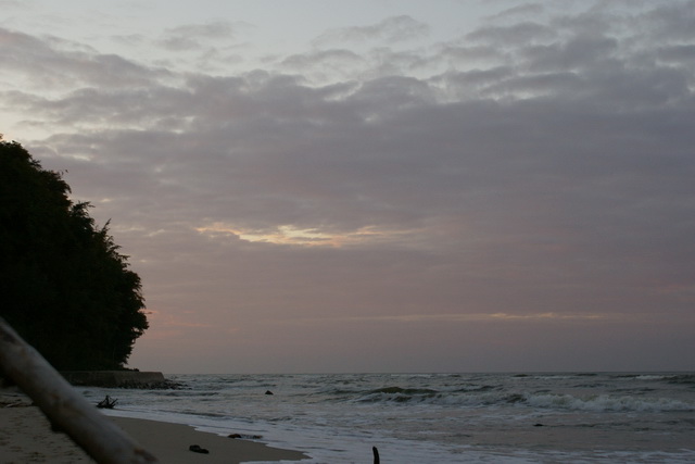 DSC01775