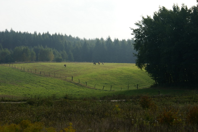 Kętrzyn