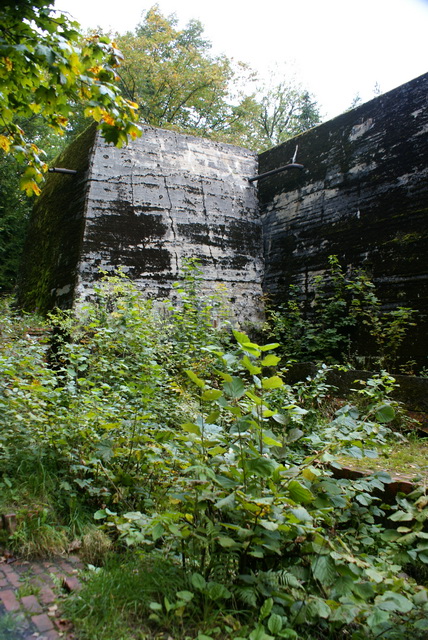 DSC01788