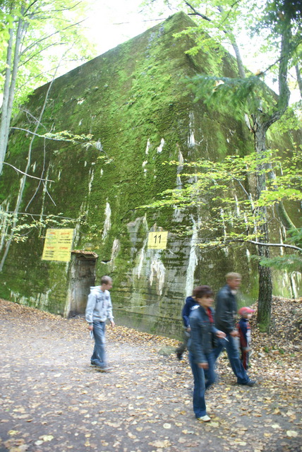 DSC01795