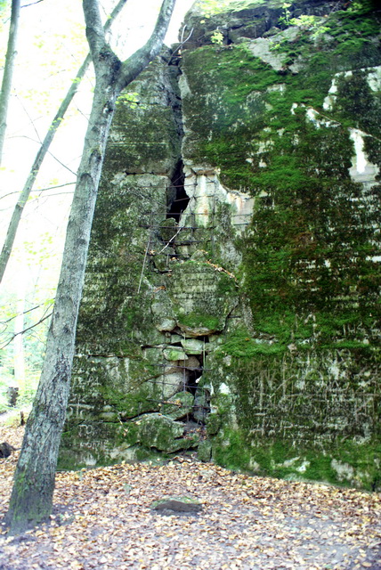 DSC01798