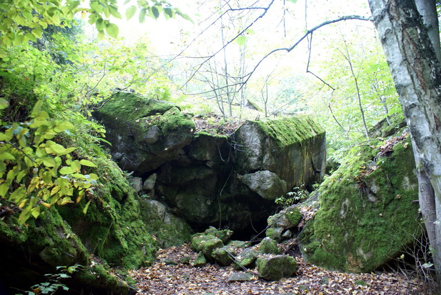 DSC01801