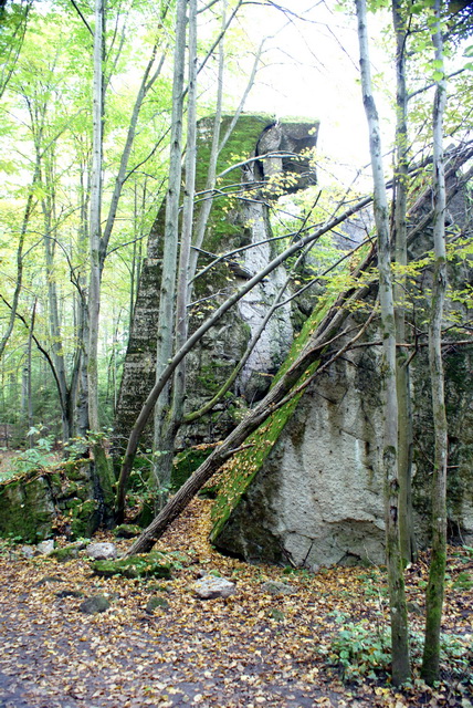 DSC01802