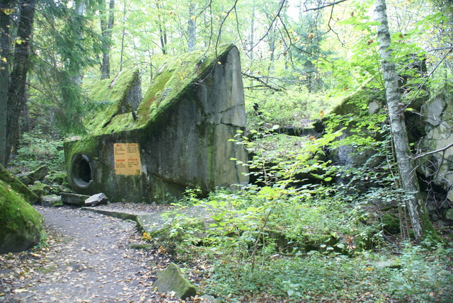 DSC01811