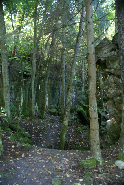 DSC01822