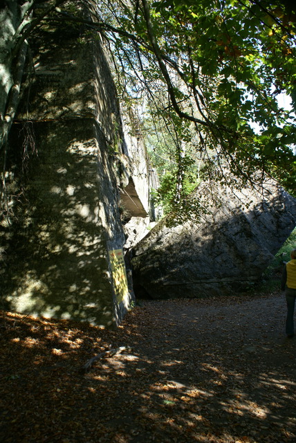 DSC01833