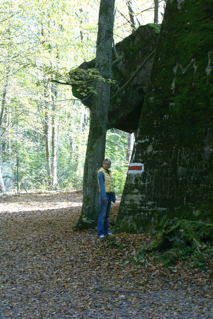 DSC01838