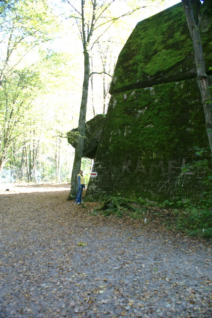 DSC01839