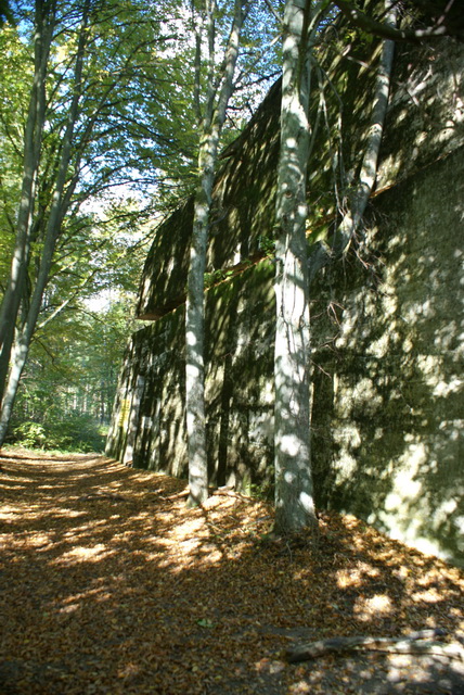DSC01840