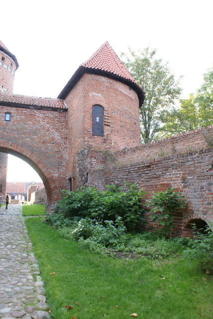 DSC01862