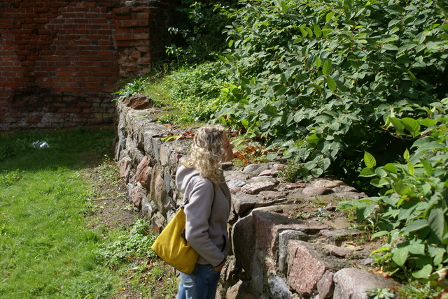 Malbork