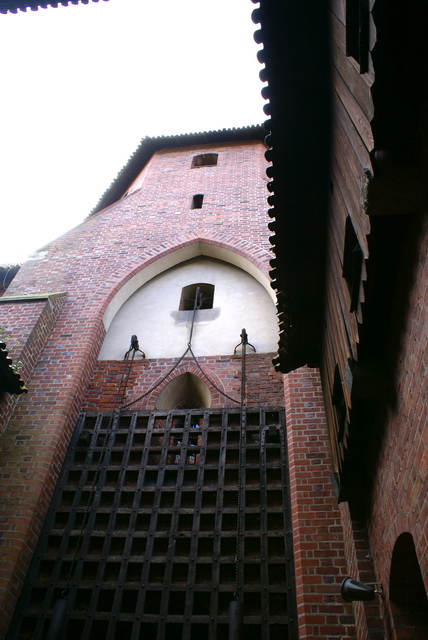 DSC01557