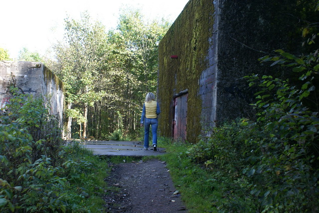 DSC01895