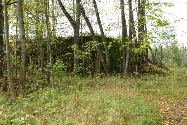 DSC01899