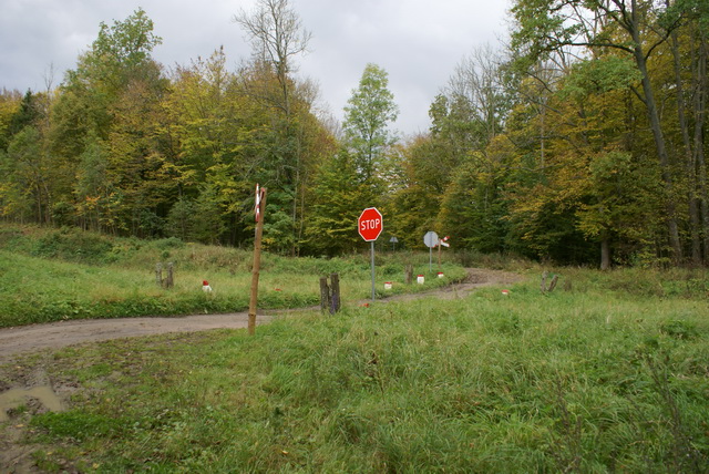 DSC01914
