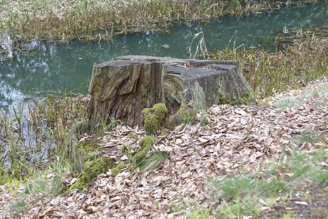 DSC04201