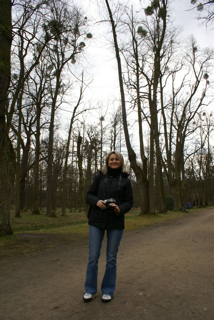DSC04221