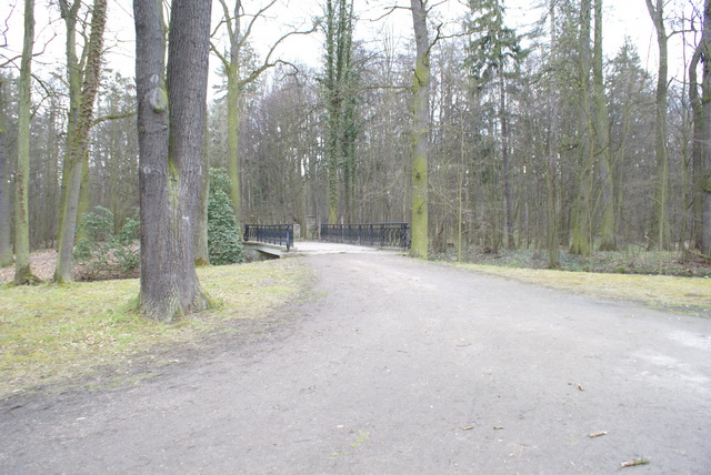 DSC04225