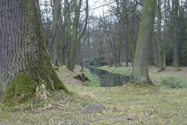 DSC04233