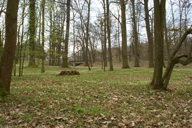 DSC04261