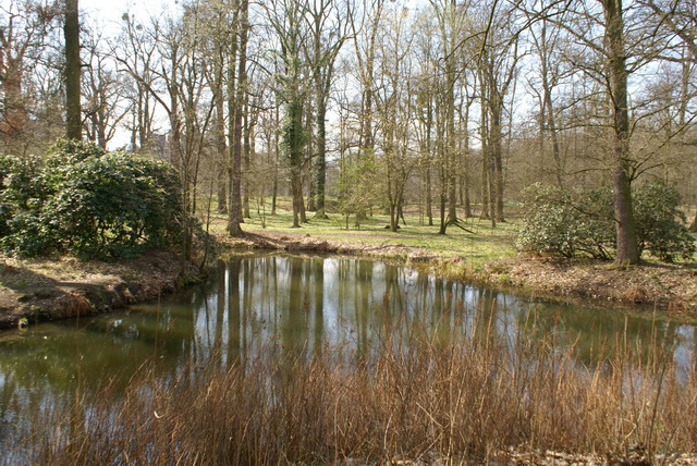 DSC04296