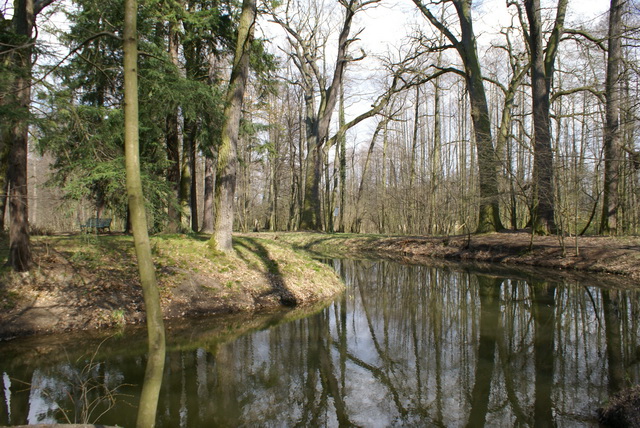 DSC04297