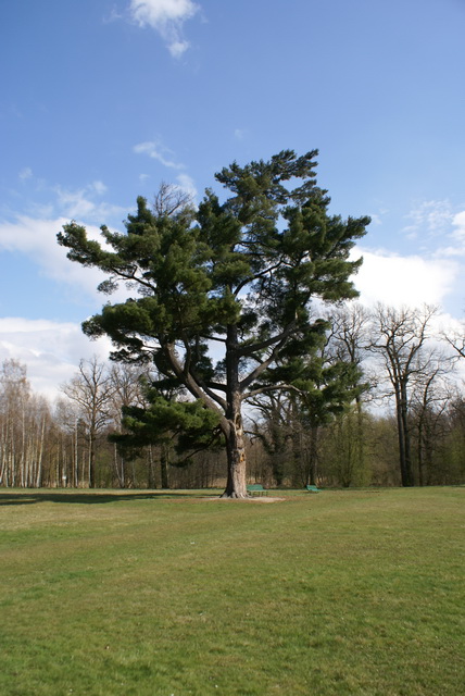 DSC04315