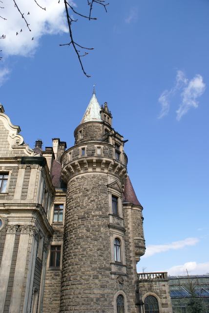 DSC04338