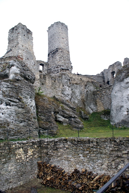 DSC02197