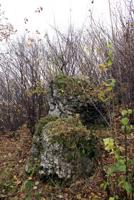 DSC02287