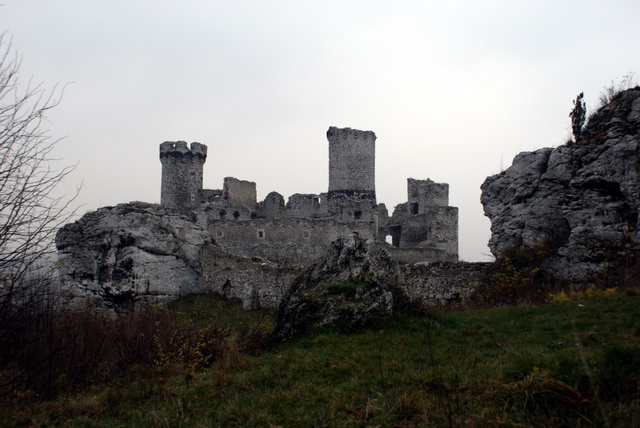 DSC02317