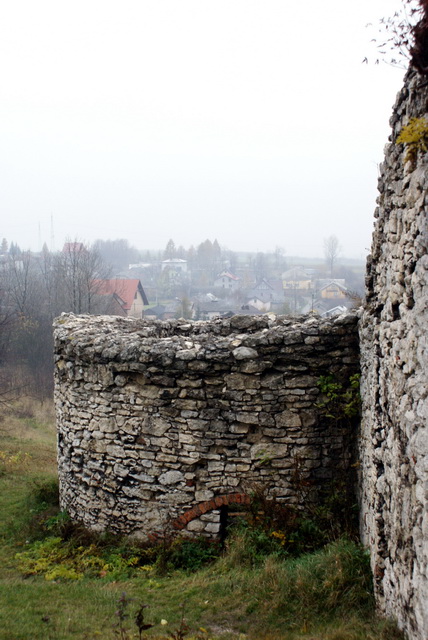 DSC02331
