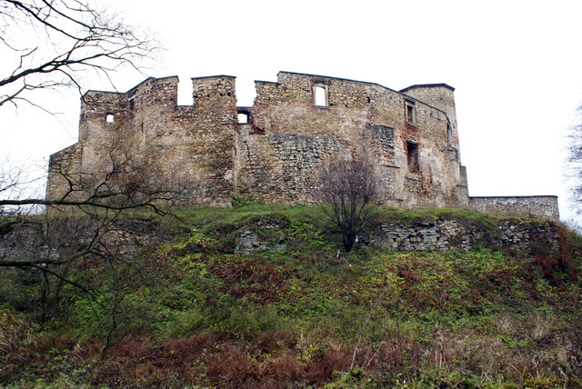 DSC02177