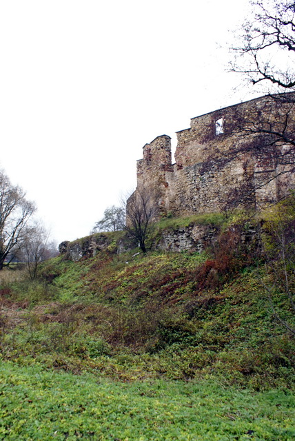 DSC02178