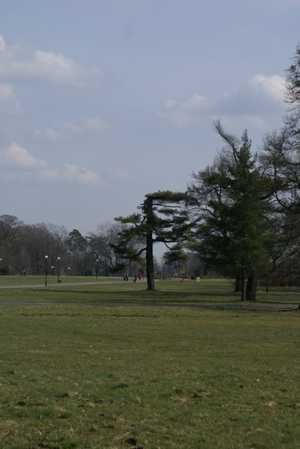 DSC03901