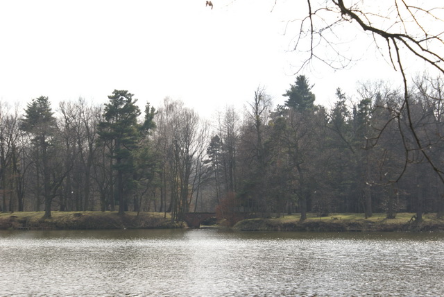 DSC03989