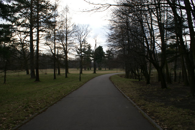 DSC04105