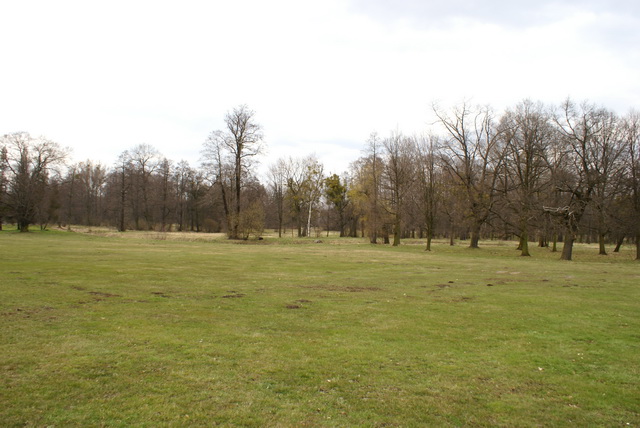 DSC04120