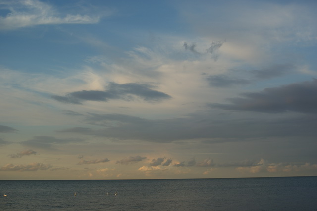DSC05939
