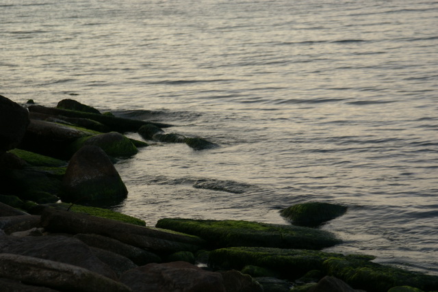 DSC05965