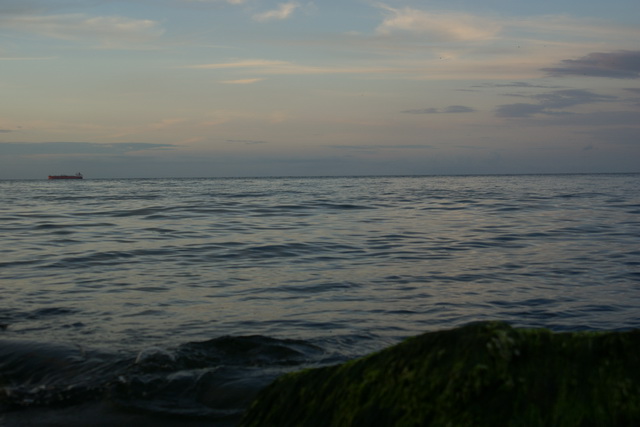 DSC05971