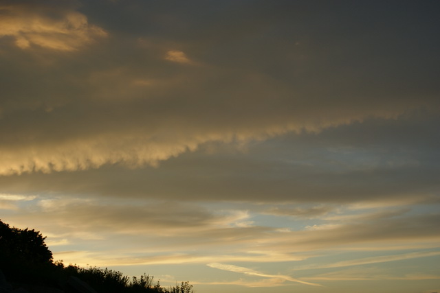 DSC05976