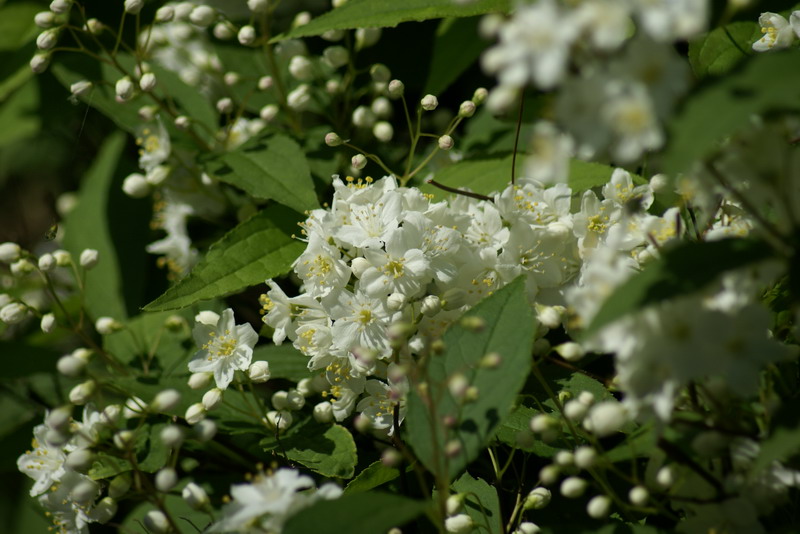 DSC00190 2