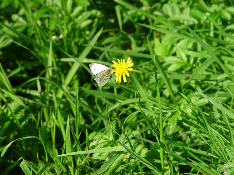 DSC01508