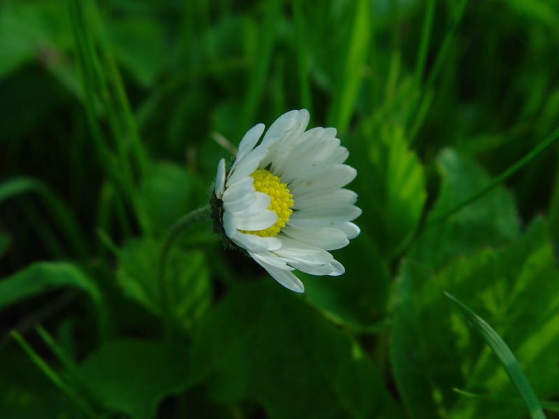 DSC01830