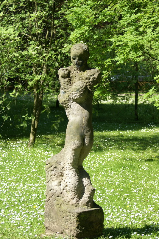 DSC00226